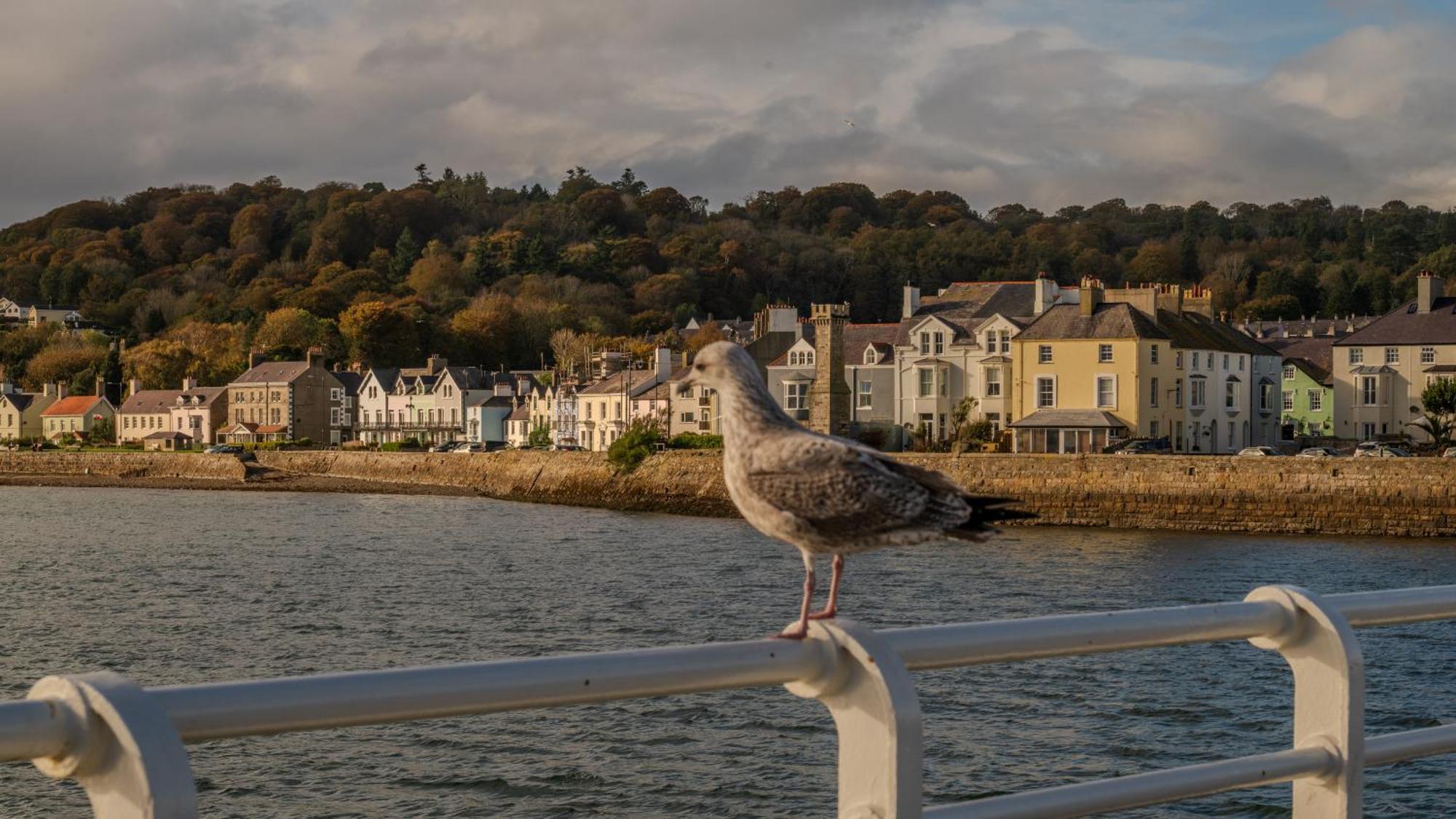 Castle Court Hotel Beaumaris Exterior photo